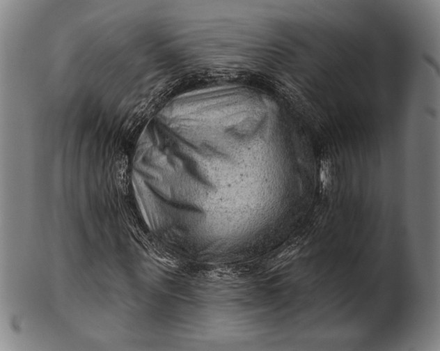 X0000101470867200807211334