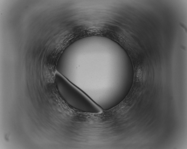 X0000101470868200807211334