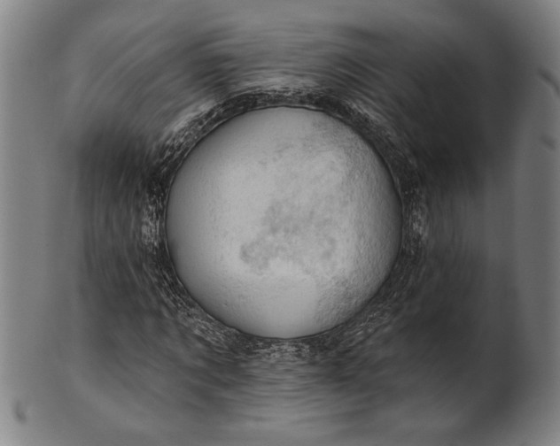 X0000101470869200807211334