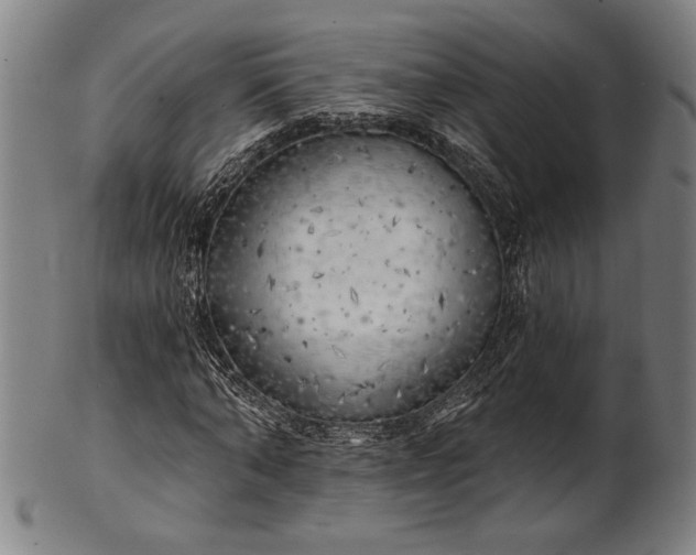 X0000101470870200807211334