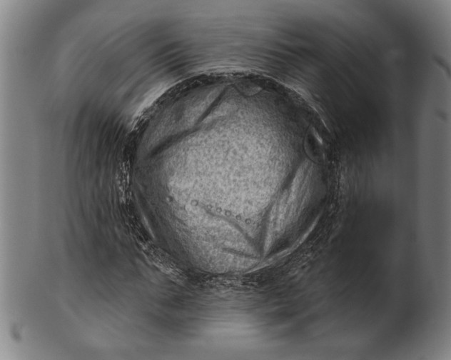 X0000101470871200807211334