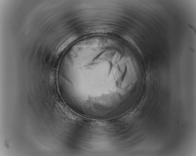 X0000101470874200807211334