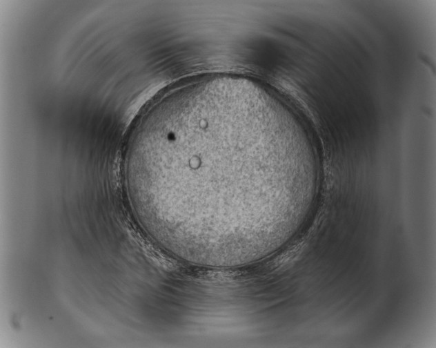 X0000101470875200807211334