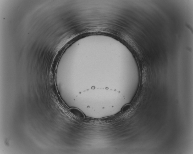 X0000101470876200807211334