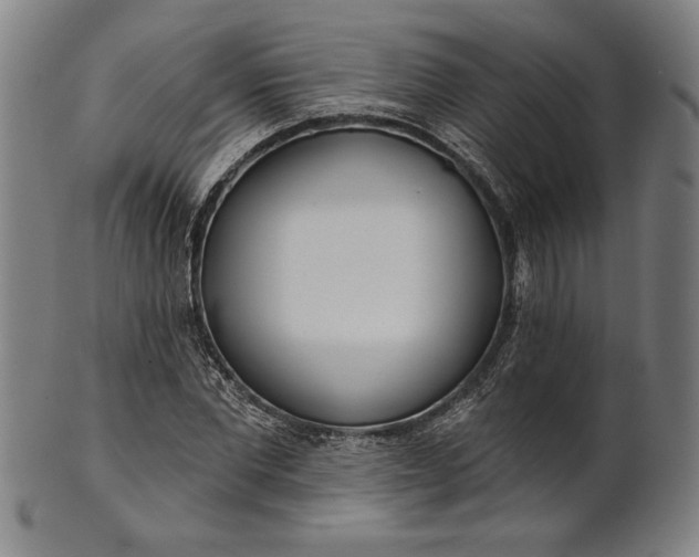 X0000101470877200807211334