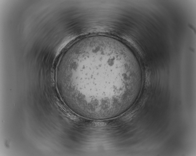 X0000101470878200807211334