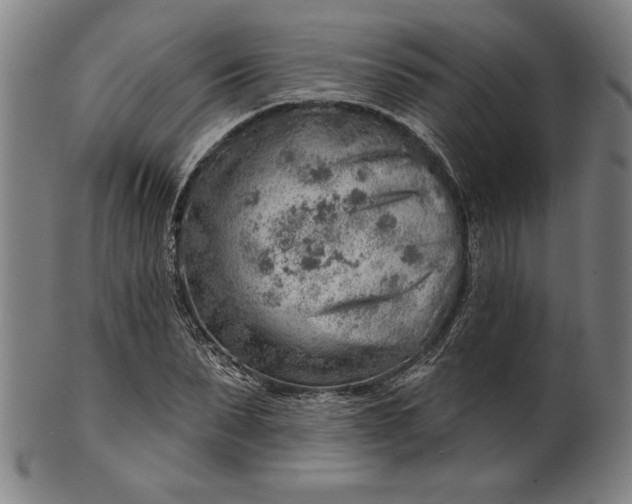 X0000101470879200807211334