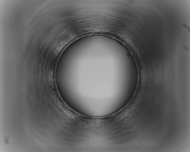 X0000101470881200807211334