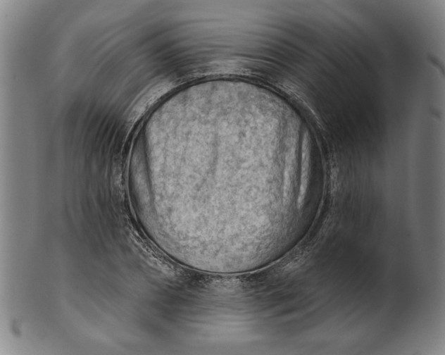 X0000101470882200807211334