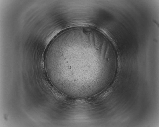 X0000101470883200807211334