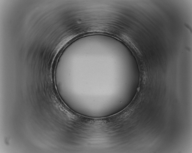 X0000101470884200807211334