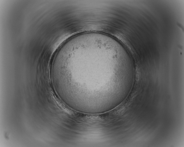 X0000101470886200807211334