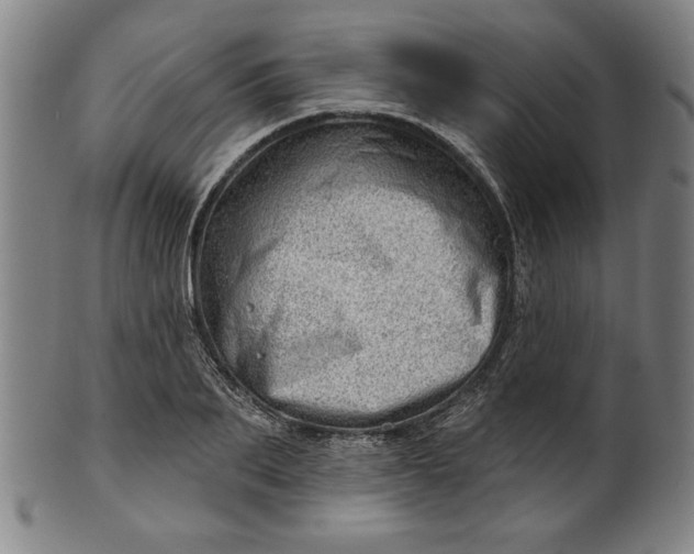 X0000101470887200807211334