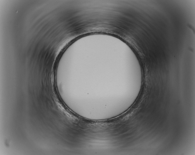 X0000101470888200807211334