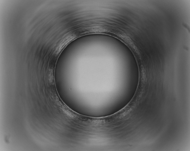 X0000101470889200807211334