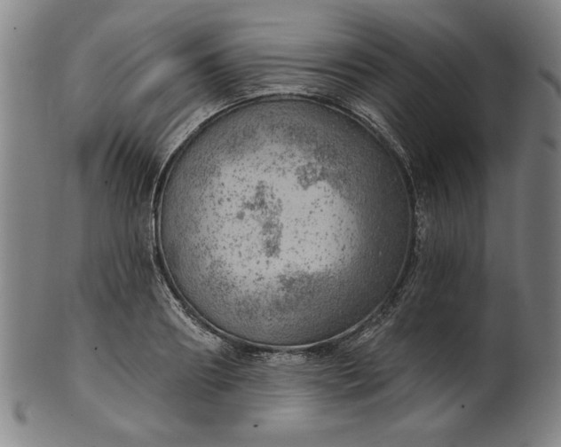 X0000101470890200807211334