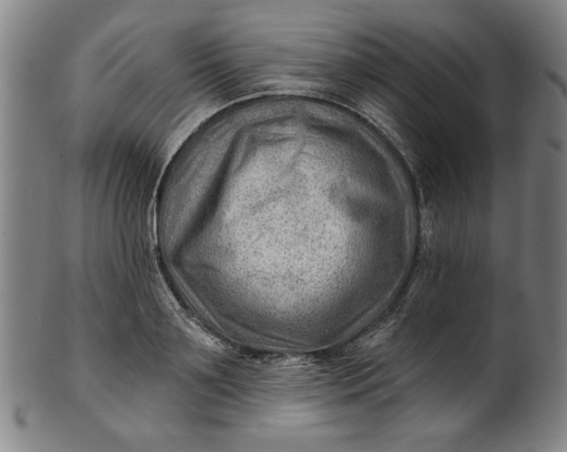 X0000101470891200807211334