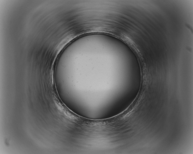 X0000101470892200807211334