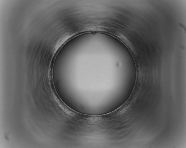 X0000101470893200807211334