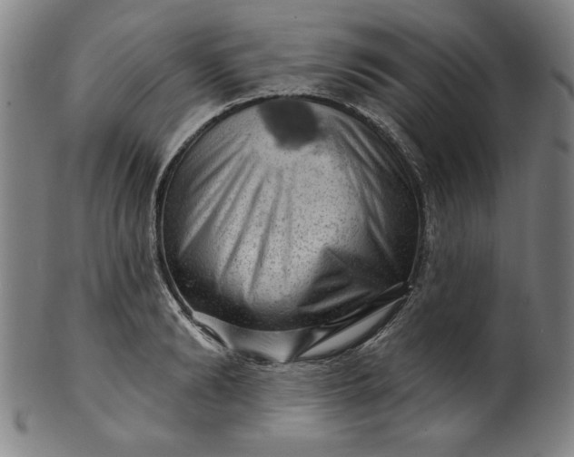 X0000101470894200807211334