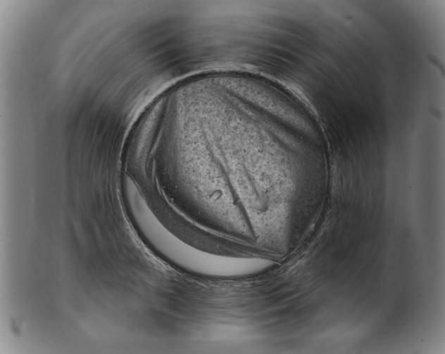 X0000101470895200807211334