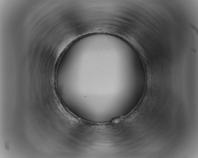 X0000101470896200807211334