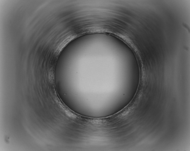 X0000101470897200807211334