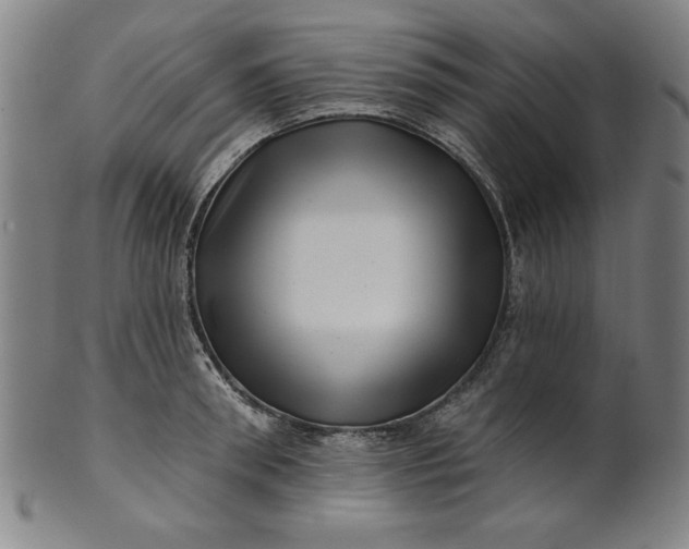 X0000101470898200807211334