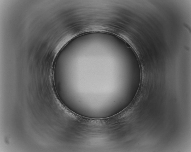 X0000101470901200807211334