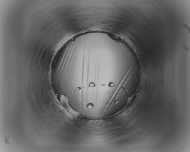 X0000101470902200807211334