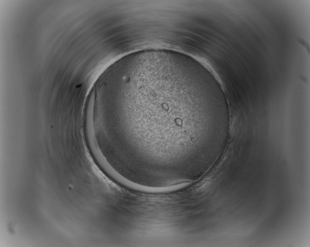 X0000101470903200807211334