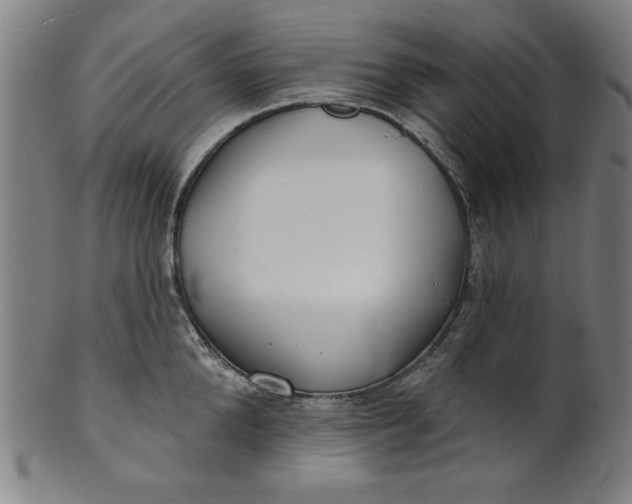 X0000101470904200807211334