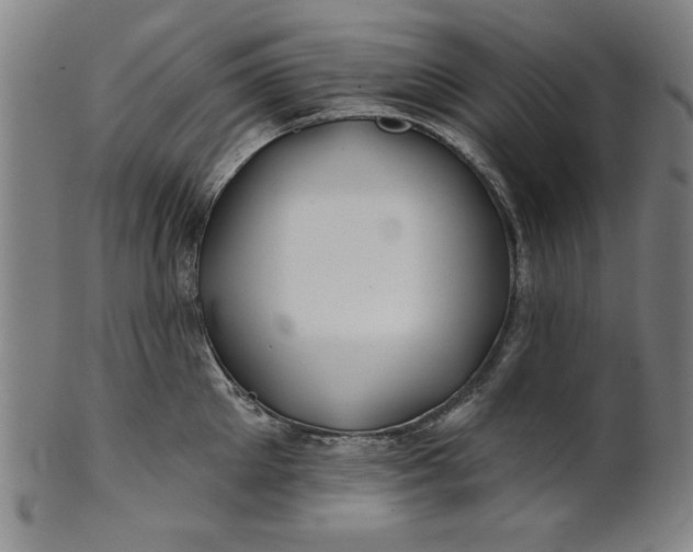 X0000101470905200807211334