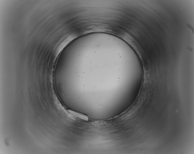 X0000101470906200807211334