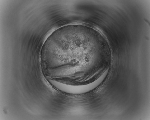 X0000101470907200807211334