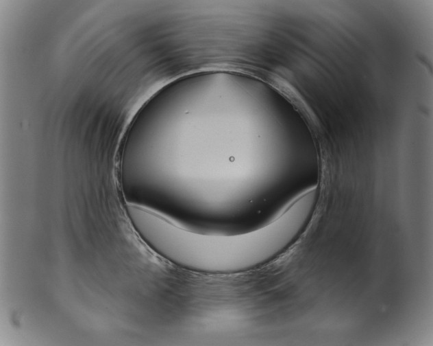 X0000101470908200807211334