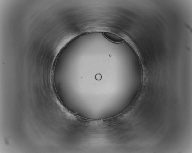 X0000101470909200807211334