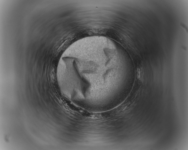 X0000101470915200807211333