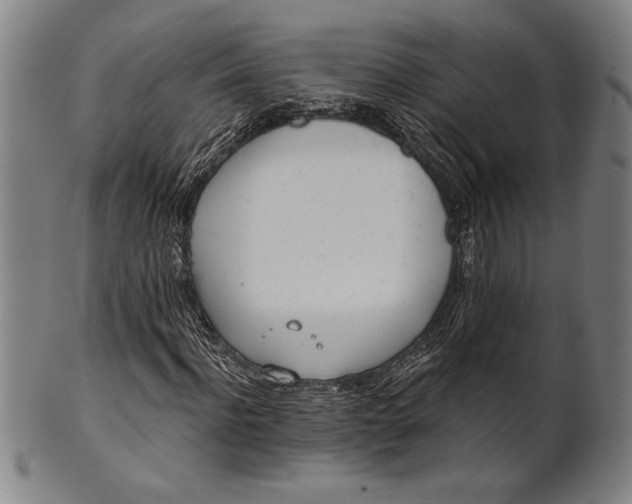 X0000101470916200807211333