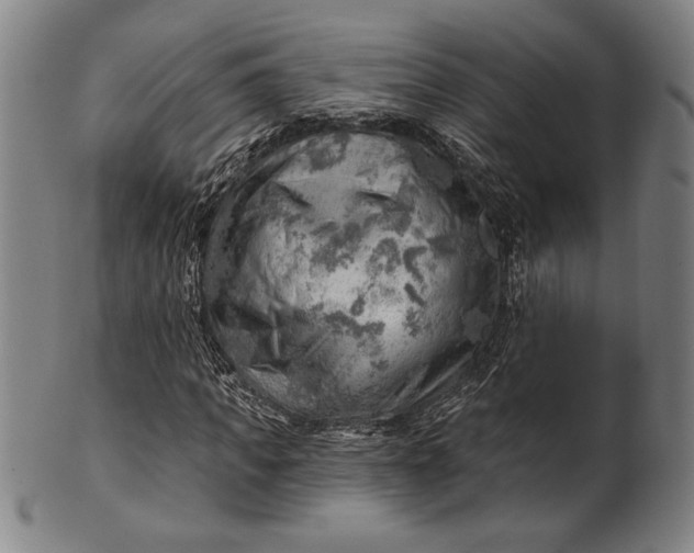 X0000101470917200807211333