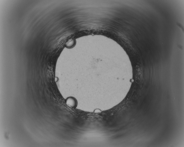 X0000101470918200807211333