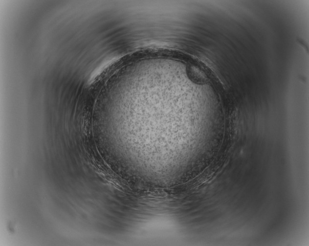 X0000101470919200807211333