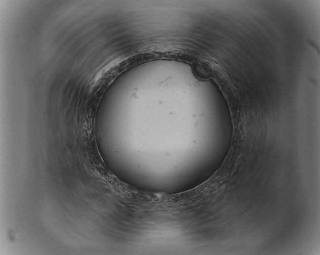 X0000101470920200807211333