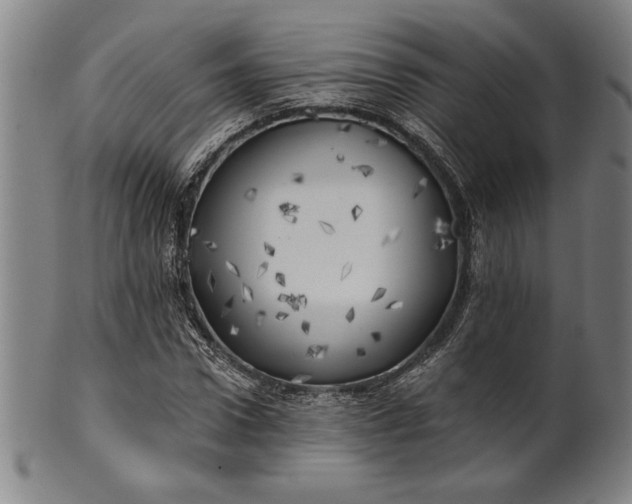 X0000101470922200807211333