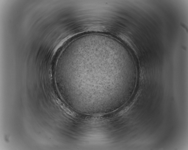 X0000101470923200807211333