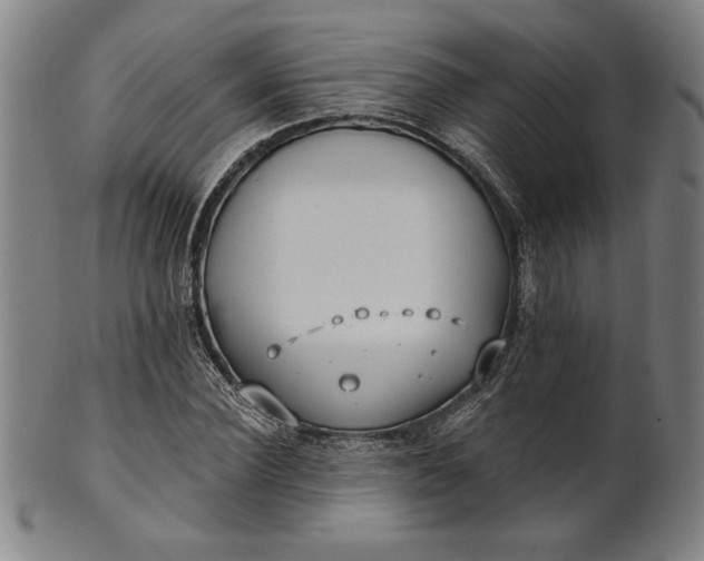 X0000101470924200807211333