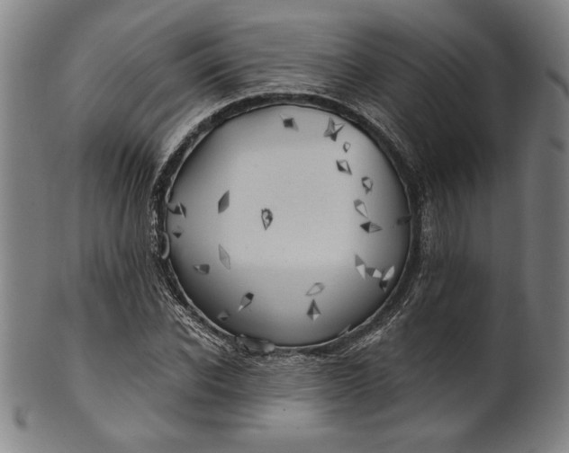 X0000101470926200807211333