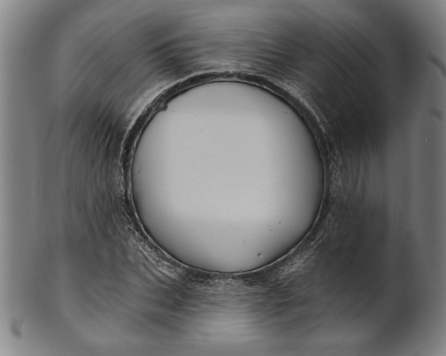 X0000101470927200807211333