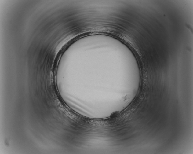 X0000101470928200807211333