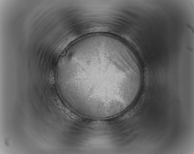 X0000101470929200807211333